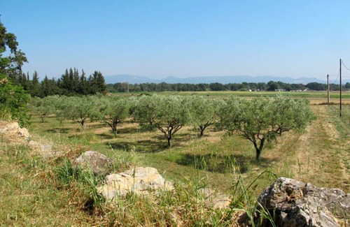 Roquebrune-sur-Argens Apartment | 38 m² Apartment ∙ 1 bedroom ∙ 4 guests