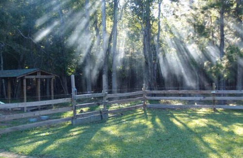 Hubert House | 3miles to Hammocks beach state park, Swansboro, Lejeune on private 22 acresn