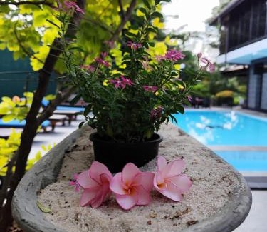Negombo Hotel | 3R Resort by Blue Bird