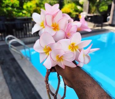 Negombo Hotel | 3R Resort by Blue Bird