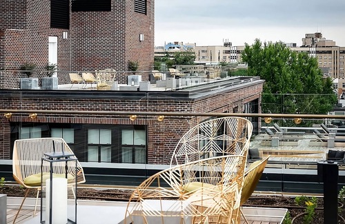 Adams Morgan Hotel | 3x District Double Queen at The LINE Hotel Washington DC, Pet-friendly Property!