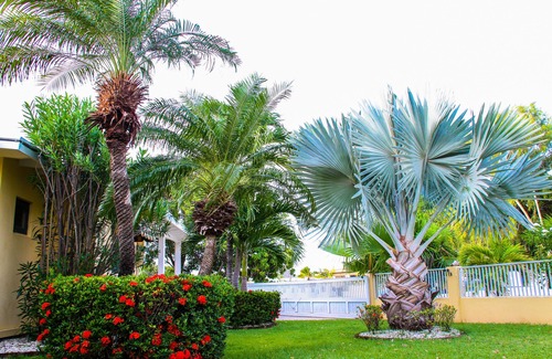 Koyari House | 4 Bed 2 Bath Tropical Aruba Villa Oasis Close To Everything!