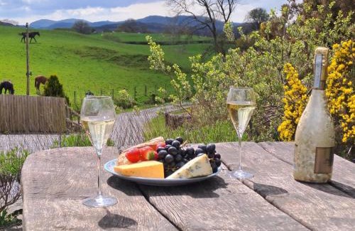 Snowdonia National Park House | 4 Bed in Betws y coed 52111