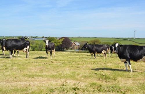 Bude House | 4 Bed in Bude SSHAM