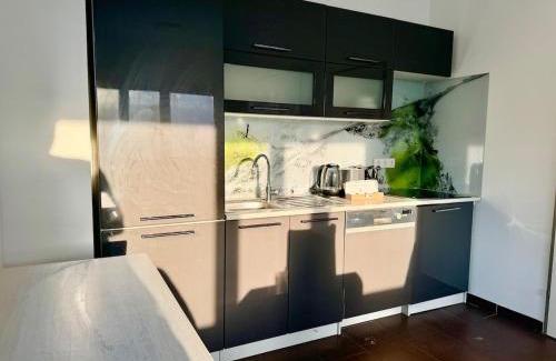 Liesing Apartment | 4 Bedroom Apartment with Balcony, AC & Free Parking