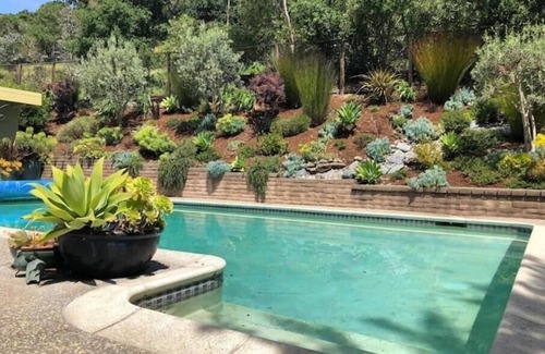 Lucas Valley-Marinwood House | 4 bedroom cozy mid-century modern home w/pool