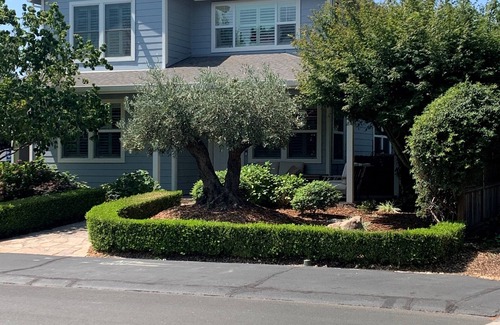 Yountville House | 4-bedroom house in peaceful Yountville with AC, WiFi.