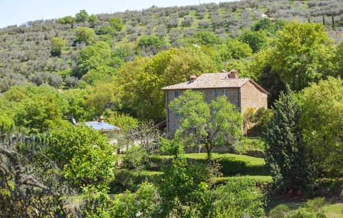 Paciano Apartment | 4 Bedroom Lovely Apartment In Paciano