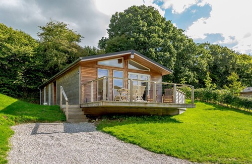 West Looe House | 4 Hedgerows