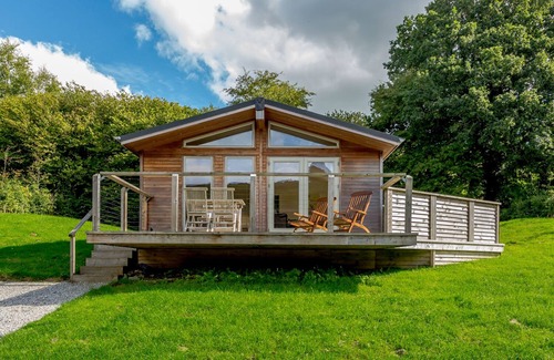 West Looe House | 4 Hedgerows