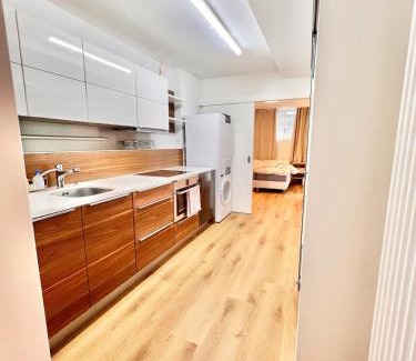 Horgen District Apartment | 4 mins walk Thalwil Station, Free Parking, Historical