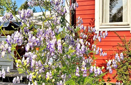 Bergshamra House | 4 person holiday home in BERGSHAMRA