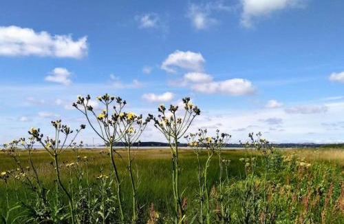 Ronde House | 4 person holiday home in Rønde-By Traum