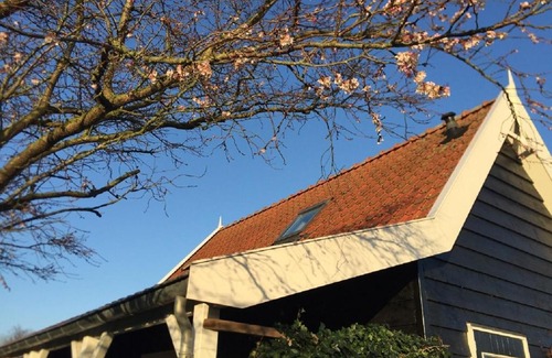 Sint Maartensdijk House | 4 persoons vakantiehuis De Zeeuwse Dijk Tholen Zeeland