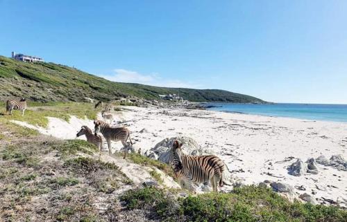 Gansbaai House | 401 Kingfisher