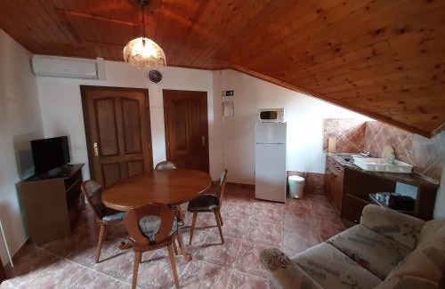 Balatonlelle Apartment | 41 fös klímás apartman