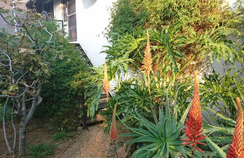 Greater Johannesburg Metropolitan Area Apartment | 41 Ridge- self catering cottages