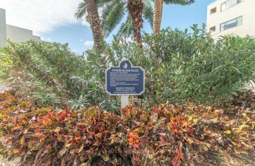 Rocky Point Apartment | 421-Fully renovated, WIFI, Pool, Amazing Views, Near BUCS Stadium