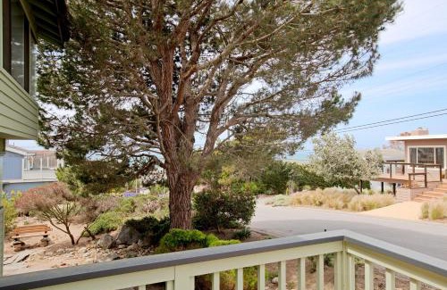 Marine Terrace House | 430 Orlando