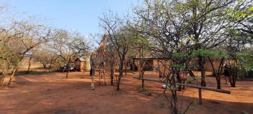 Marloth Park Apartment | 462 Bosbok Chalets