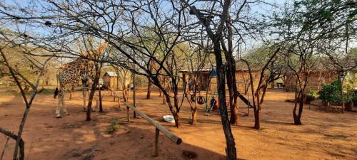 Marloth Park Apartment | 462 Bosbok Chalets