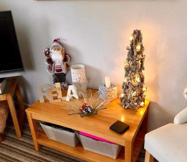 Builth Wells Ski Chalet | 49 Irfon Lodge