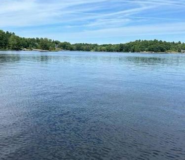 Muskoka Lakes House | 4Bdrm Muskoka Retreat, Fire Table, Games, Netflix
