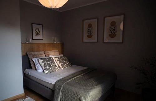 Ilawa Apartment | 4jeziora - prywatny dostęp do rzeki, pomost, ogrodem, wiata grillowa, rowerek wodny, kajaki w cenie, parking, psiaki dozwolone