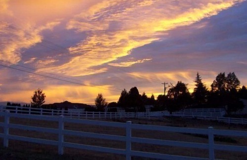 Far West House | 5 Acre Country Estate, Wifi, Beautiful Views, Surrounded by Vineyards & Horses