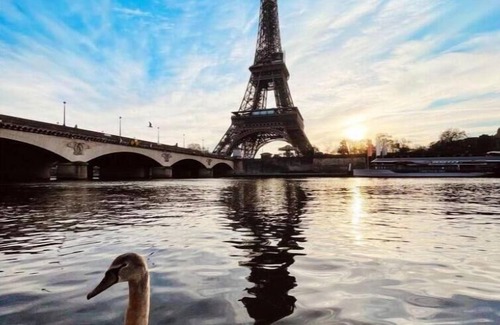 Quartier du Gros-Caillou Boat Rental | 5* Luxury Private Yacht on the Seine Next to Eiffel Tower-Scintillating Views