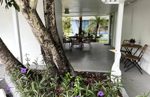 Dunedin Apartment | 5 · Seaside Artisan Apartment *Dog Friendly* 5