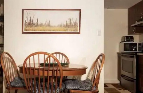 Central Erin Mills Apartment | 5 Star Basement Apartments #4