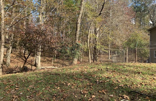 Peachtree City House | 5 Star - Basement Apt - 2 BD - Pet Friendly