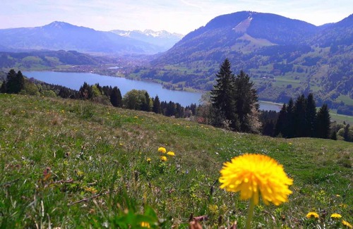Immenstadt im Allgaeu Apartment | 50 m² Apartment ∙ 2 bedrooms ∙ 4 guests