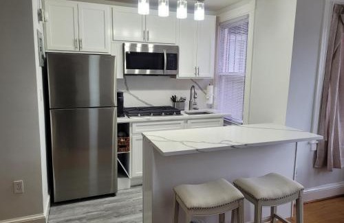 Stanton Park Apartment | 535 3rd ST