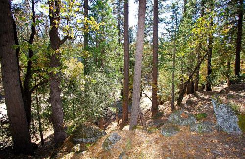 North Wawona Ski Chalet | 5N Edmond's Place