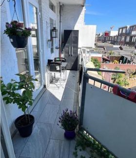Scheveningen House | 5stars Room in a shared flat by the beach, the dunes and the harbor