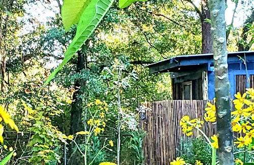 Bellview RV Rental | 6 Acres! Rustic Tiny Zen Cabin & Private Garden - BEACH 8 mi/DT 6mi