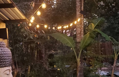 Bellview RV Rental | 6 Acres! Rustic Tiny Zen Cabin & Private Garden - BEACH 8 mi/DT 6mi