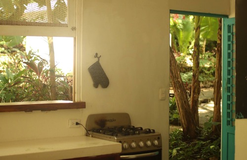 Nosara Hotel | 6 Bedroom Jungle Hotel w/Infinity Pool-5 minute walk to beach! n