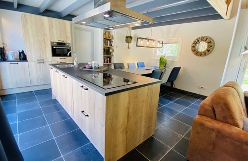 Grijpskerke House | 6 person luxury Holiday home Grijpskerke