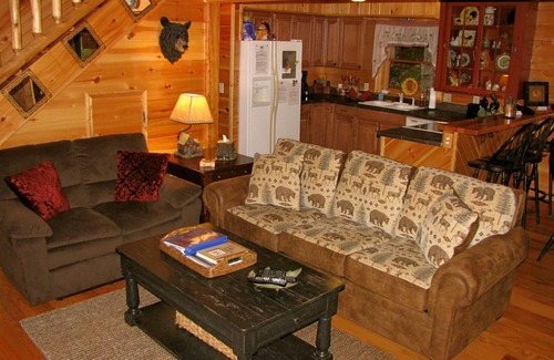 Maggie Valley Cabin | 6 Secluded Acres/Hot Tub/Fire Pit/Wood Fireplace/Pool Table/Hammock/Pets OK