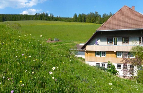 Voehrenbach House | 65 m² Farmhouse ∙ 1 bedroom ∙ 4 guests