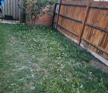 Dartford House | 66 Central Road
