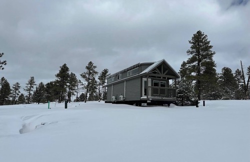 Williams Ski Chalet | 6B Cozy Chalet in Beautiful Williams With Wi-Fi, AC, With Forest View and Patio.