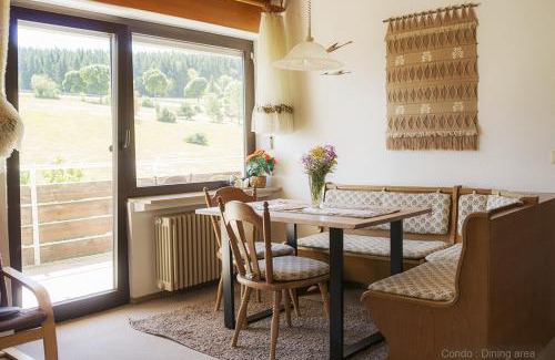 Schoenwald Apartment | 71 square meters Condo in Schwarzwald with beautiful mountain view, free wifi