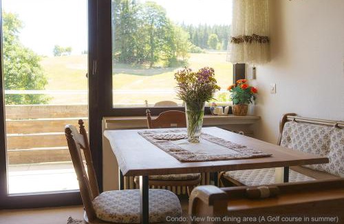 Schoenwald Apartment | 71 square meters Condo in Schwarzwald with beautiful mountain view, free wifi