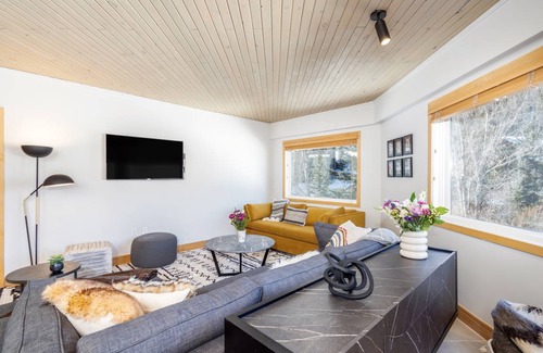 Telluride Condo | 73 m² Condo ∙ 1 bedroom ∙ 4 guests