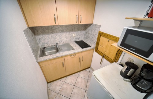 Feldberg Apartment | 739 - Standard | 55 sqm 1,5 room (with Hochschwarzwaldkarte) - Ferienwohnungen am