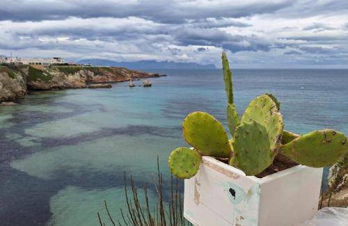 Terrasini Apartment | 78 m² Apartment ∙ 2 bedrooms ∙ 4 guests